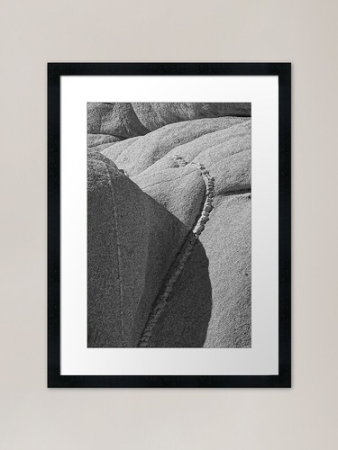 Joshua tree monzogranit - joshua,