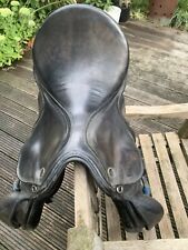 Kiefer Springsattel Norbert Koof 