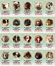 Top-Schilder, versch. Größen,  HUNDE WACHEN, u.a. Malteser,  Mops, Neu, OVP (20)