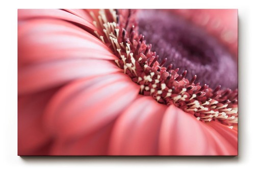 Sinus art wandbild - sinus,