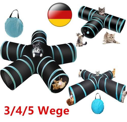 Katzentunnel katze haustier - katze,