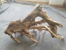 Treibholz Schwemmholz Natur