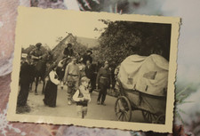 Foto DDR Eibau Bierzug 1951