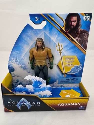 Aquaman the lost kingdom - dc,