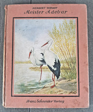 Meister Adebar von Herbert