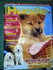 Zeitschrift Das deutsche Magazin Hunde von 2008 u.a. Thema Shiba Inu,Welpenkunde