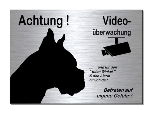 Boxer-Hund-Video-Überwacht--3
