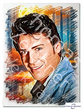 Shakin' Stevens--ae ,-- 1x