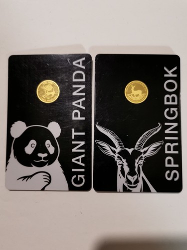 Panda und springbock im - und, springbock"