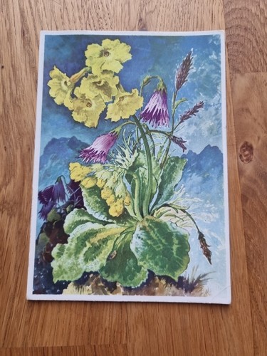 Alte postkarte ansichtskarte - alte,