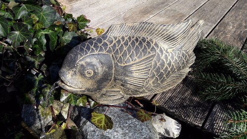 Koi fisch brunnen tier teich - koi,