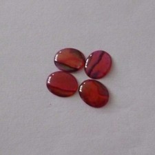 4 Stück Abalone Shell