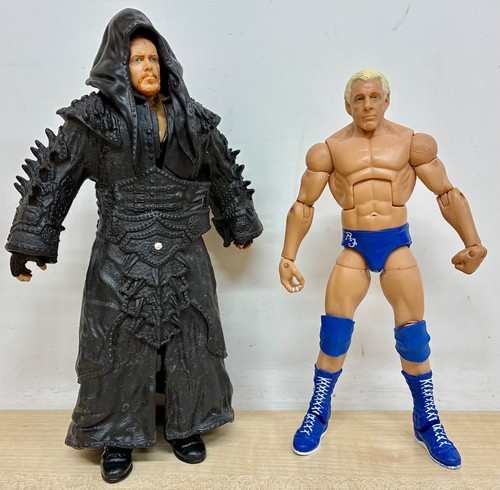 Wwe the undertaker vs ric - vs,