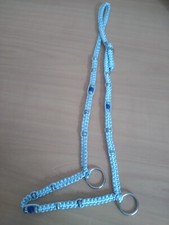 Araber Showhalfter Vollblutaraber Auch Als Trense Umrüstbar