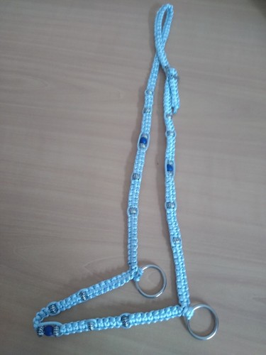 Araber showhalfter - araber,