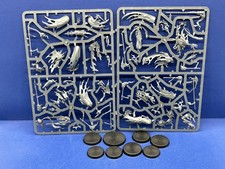 Warcry Pyregheists /