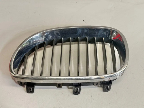 Kühlergrill niere vorne links - kühlergrill,