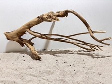 Talawa Wurzel XXL ähnlich