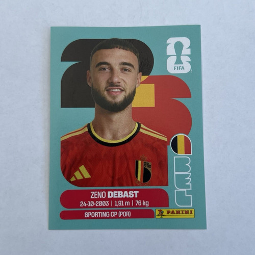 Panini fifa world cup - fifa,