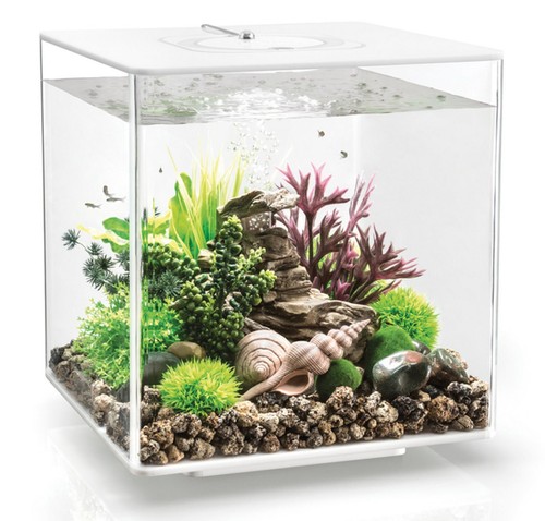 Biorb nano aquarium - biorb, nano-aquarium