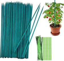 50 Stück Bambus Pflanzstäbe