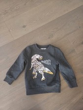 Schöner Pullover Jungen