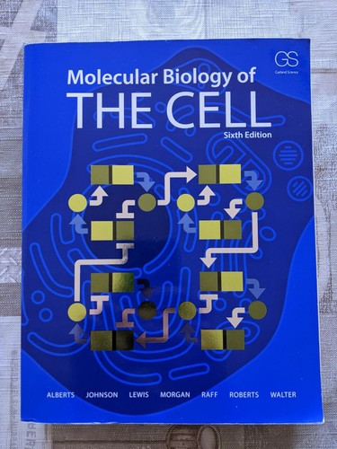 Molecular biology the cell - of,