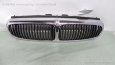 Jaguar X-Type Kühlergrill