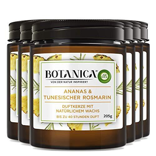 Air wick botanica duftkerze - botanica,