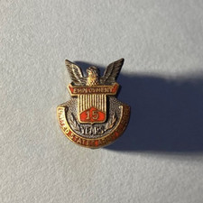 zwei schöne Pin US Army
