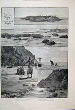 Original alter antiker Druck