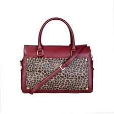 Class Roberto Cavalli