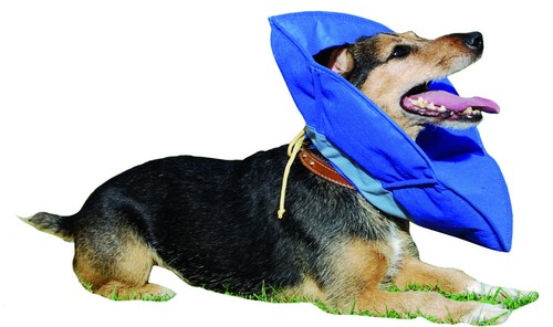 Halskragen weich soft collar - weich,