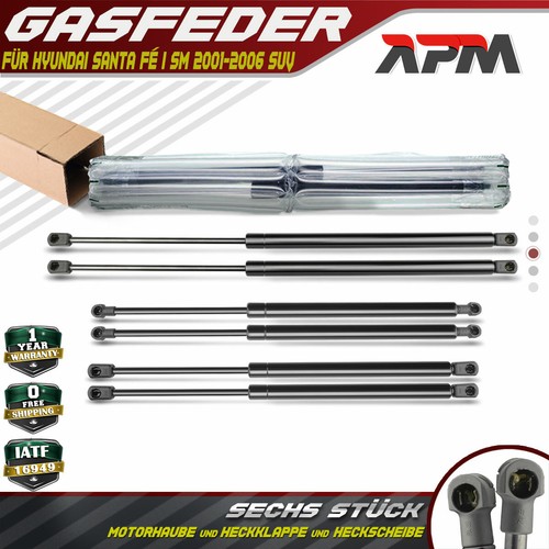 Gasfeder - 6x,