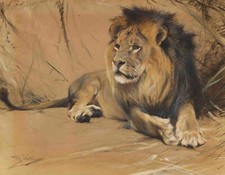 Wilhelm Kuhnert - Liegender