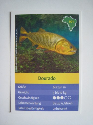 Entdecke brasilien - brasilien,