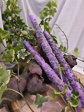 2er Set Ritualkerzen Kräuter