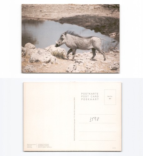S dwestafrika - (k3598), s�dwestafrika