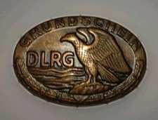 DLRG Abzeichen 