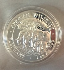 2013 - SOMALIA ELEPHANT  - 1