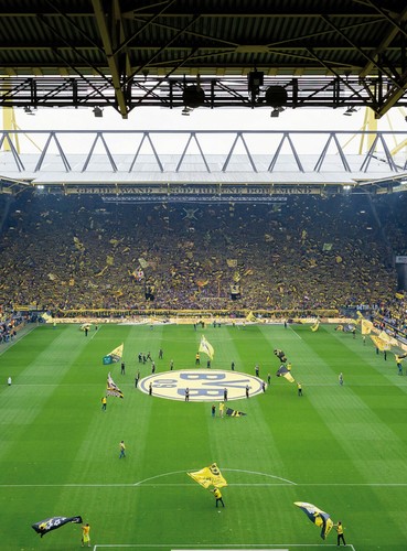 Vlies fototapete bvb fans - vlies,