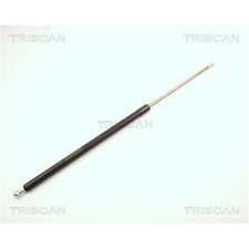 Triscan Gasfeder Dämpfer