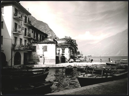 Fotografie grebert - dr.,