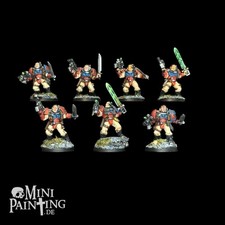 Warhammer 40k Crimson Fists x7