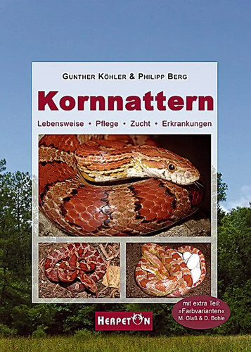 Kornnattern lebensweise - |,
