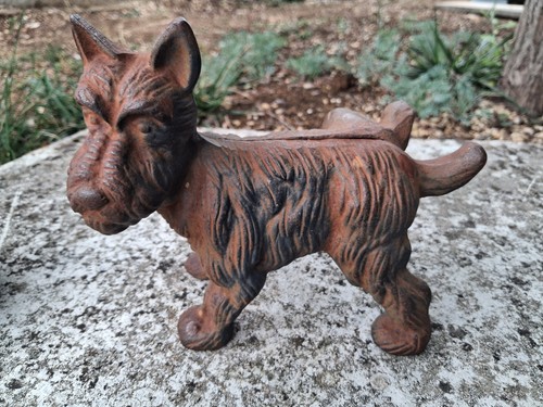 Alter hund scottish terrier - alter,