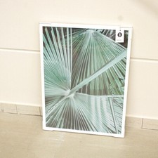 IMPRESSIONEN living Bild Palmenblatt schwarz mint