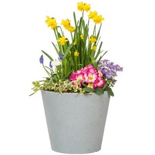 Scheurich Blumentopf C-Cone Beton-Look Verschiedene Größen und Farben Pflanztopf