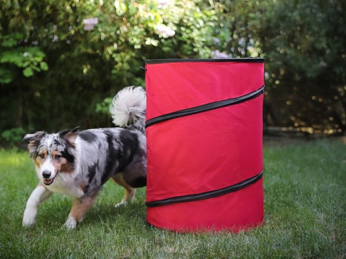 Hoopers tonne für hundesport - hoopers,