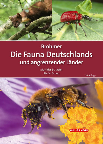 Brohmer die fauna - brohmer,